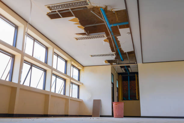 Best Carpet water damage restoration  in Polk City, IA