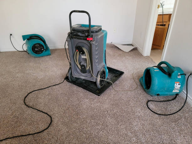 Best Basement water damage restoration  in Polk City, IA