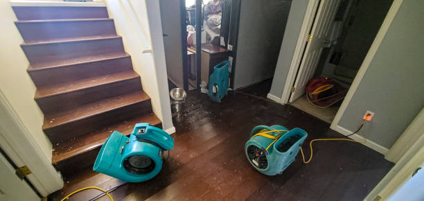 Best 24-hour water damage restoration  in Polk City, IA
