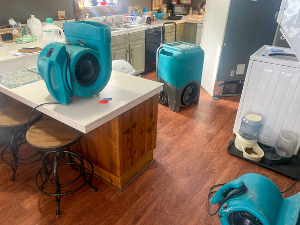 Best Professional water damage repair  in Polk City, IA