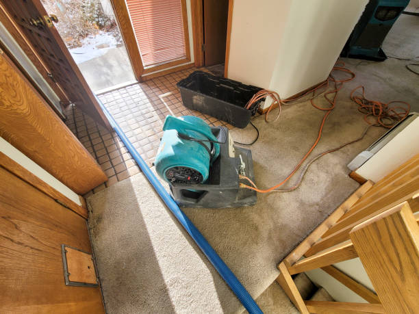 Best Professional water damage repair  in Polk City, IA