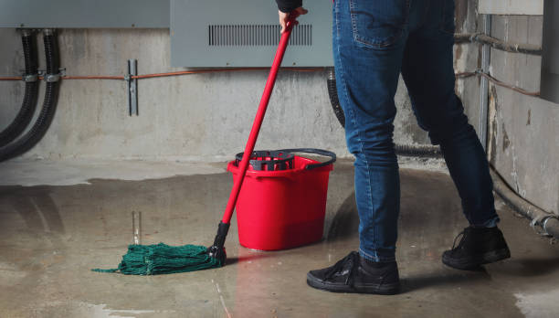 Best Residential water damage restoration  in Polk City, IA