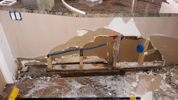 Best Flood damage cleanup  in Polk City, IA