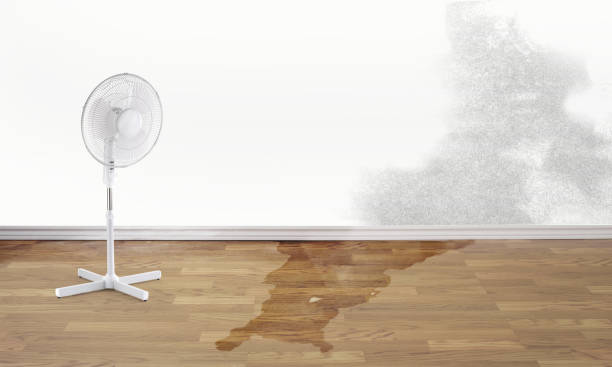 Best Emergency water damage restoration  in Polk City, IA