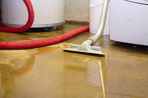 Best Water damage restoration near me  in Polk City, IA