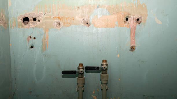 Water damage restoration mold remediation in IA