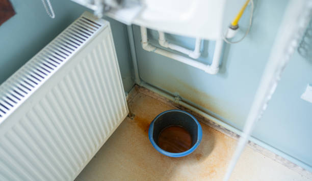 Best Water damage cleanup near me  in Polk City, IA
