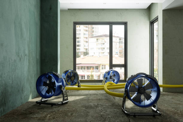 Best Local water damage restoration  in Polk City, IA